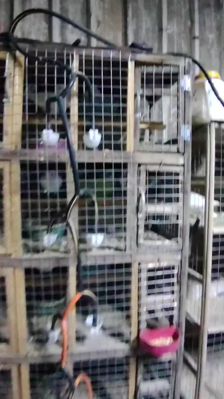 السلام عليكم متاح خانات للبيع ام ال 10 كامله طوافه وسله ب 35 وام الاربعه طوافه كامله ب20 قفل وام الثلاثه ب 10 قفل مكاني جكوك قرب البالات رقم 📱 ***********
