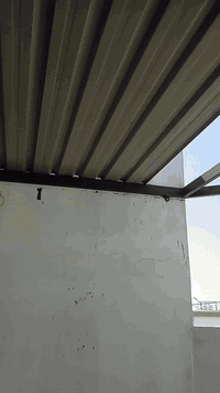 السلام عليكم ورحمة الله.
كافة أعمال الحداده .
باب  شباك  محجرات 
سندويش بنل .
عمارات كيسبان .
عنواني كوفه 
***********  وات ساب
