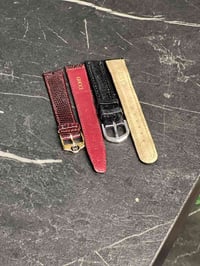 سيوره جلد • جملة • ٧٥قطعة