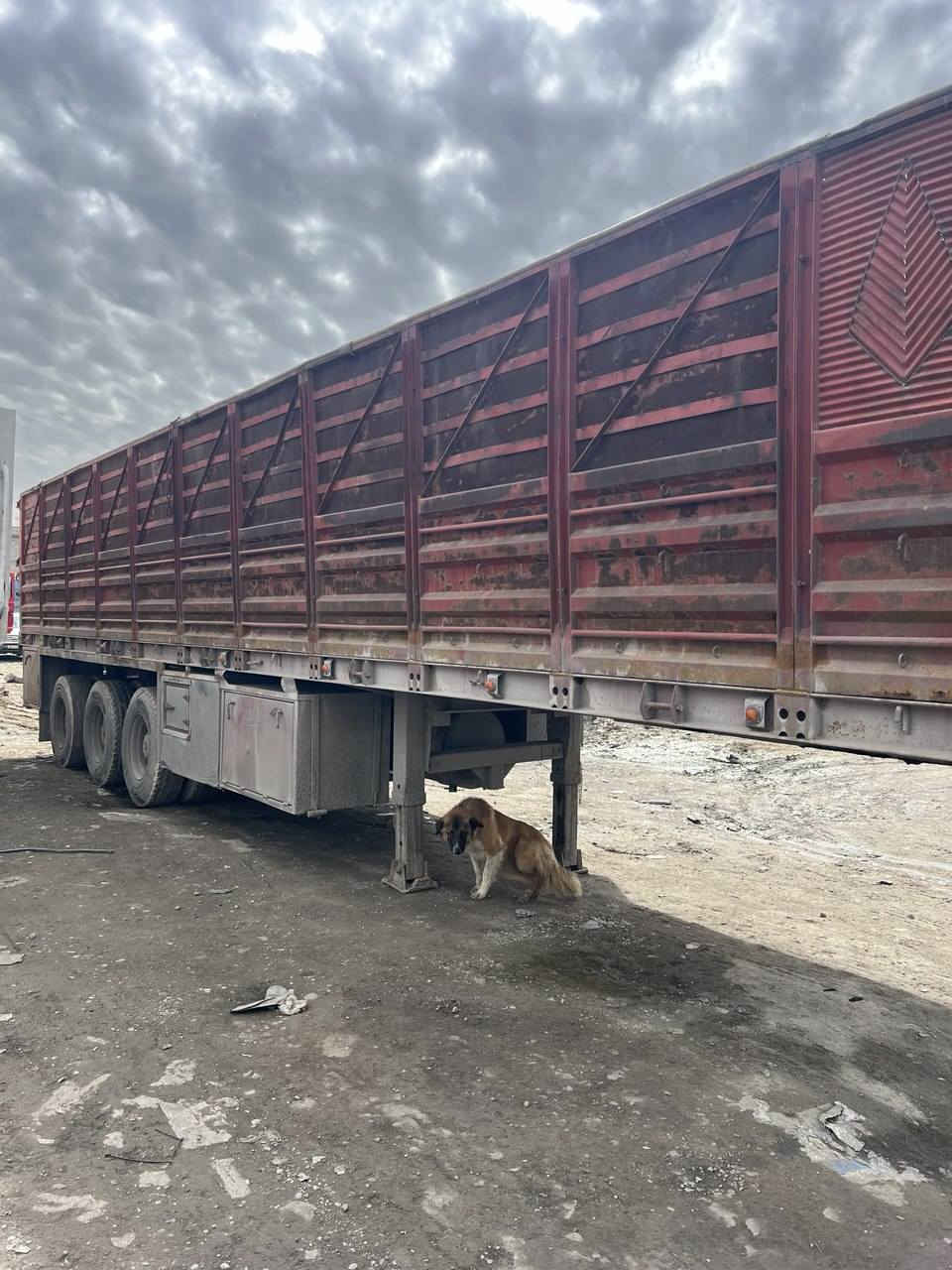 للبيع
عربانه عمل محلي شاصي 16 حدادي
3 محاور برينة طخم تايرات
السعر 100 وبيها مجال
مكانهاا الموصل
***********
***********
