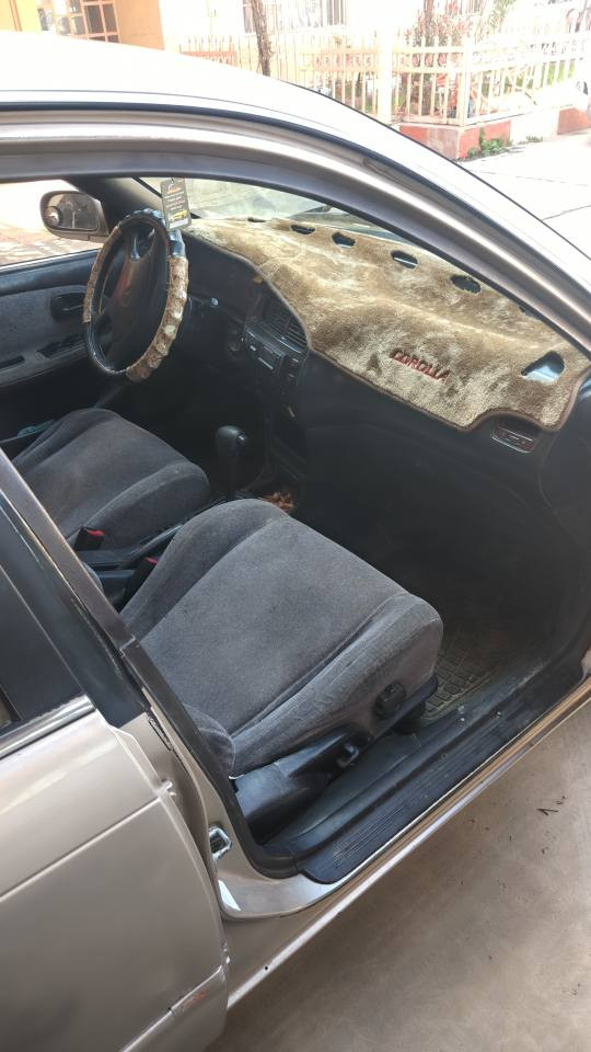 كورولا لون سلفري رقم بغداد صاحبه الشرعي بكركوك تحويل وكاله بكيفك .... 
***********
*********** كركوك, العراق
