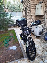 سونك 5 • 200cc • ماشيه 3842