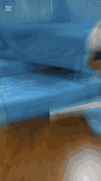 RENÉE فلير رينيه الالماني🔷️
 هو أكثر من مجرد فيلر…الفيلر الديناميكي... لمسة فنية من النعومة والتحديد، مصمم خصيصًا ليمنح وجهك امتلاء طبيعي وثبات يدوم لغاية سنة كاملة.
مفحوص من قبل وزارة الصحة العراقية ..
عبارة عن فيلر محفر لانتاج الكولاجين يعني1in2
مزيجاً فريداً وأستثنائياً من المرونه والتماسك والمطاطيه.
✨ كل واحد سيسي يعادل 1.6 سيسي وبالتالي فوليوم اكبر وسعر اقل
✨مصنع بطريقه ديناميكيه بدون حبيبات(لايتكتل ولايتكسر)
✨أخفاء التجاعيد الدقيقه والعميقه
✨زيادة الرطوبه بالجلد بفضل تركيبته المتماسكة والمصممة لامتصاص بطيء.
✨️ثبات يدوم من 9-12 شهر 
✨يحتوي على الأحماض الامينية
(GLYCINE&PROLINE) 
التي تعمل على انتاج الكولاجين في الجلد بالاضافة الى حمض الهايلرونيك اسيد
✨️ آمن تمامًا وخالي من المواد الحيوانية
✨متوافق مع البشرة الحساسة.

 📍العنوان:الكوفة_ميسان_شارع الكيات مقابل مكتبة سيد مقداد مجاور صيدلية الباقر 
📲 للحجز أو الاستفسار :***********

#تجميل #بوتوكس #فيلر #فولو #تغيير_شامل #العناية_بالبشرة #اكسبلور #نضارة #عناية#تغییر #تغییر #عراق#النجف #اهتمام_وتقدير #instagram #اكسبلور_explore
