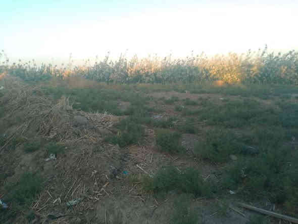 السلام عليكم للبيع كاع 600 متر بمنطقه سويب سند ١٧ صايره شكل مثلث قريبه كلش علا صيطره سويب بصفهة 
التبليط بابهة الكهرباء بصفك مي بيها عارضها ب ٢٠ مليون 
وبيها مجال للشراي ***********
