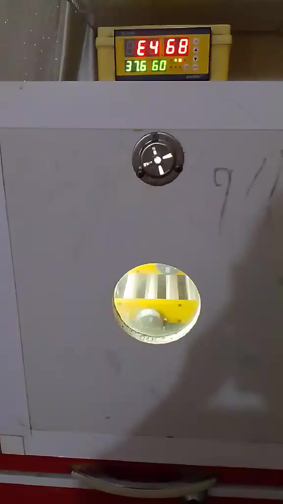 فقاسة للبيع ب150 وبي مجال


**إذا كنت صاحب هذا الإعلان وتريد حذفه لأي سبب، رجاءا أرسل رسالة إلى الدعم الفني**