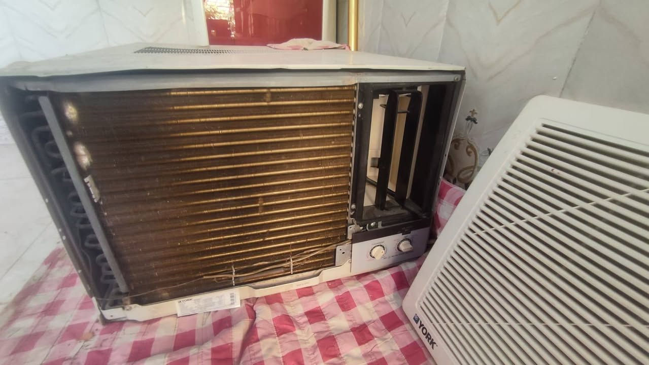 للبيع طنين بطل شرط الشغل تبريد ثلج ..السعر 300 وبي مجال عنواني ناصريه ..الشعله  ..***********
