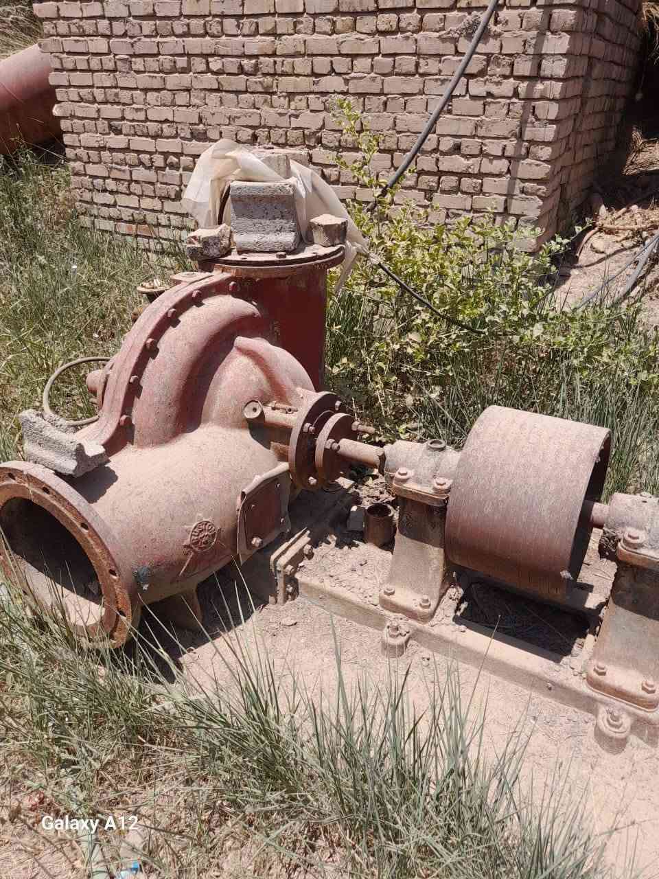 خنازير عدد ٢ رستن ١٦×١٤
***********
