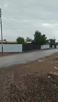 قطعة ١٠٠٠م الواجهة ٢٢م ونزال ٤٦م تريد ابيعلك ٥٠٠م ماكو مشكلة او الف كل...