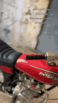 سلام عليكم انتنس قبق اسود اصلي اوراق سكنر الدراجه تعميرهة كله اصلي تجي وتشوف بعينك دراجه نضيفه شلعه ومعدل الشراي يجي على هذا الرقم ***********خاص ما ارد
