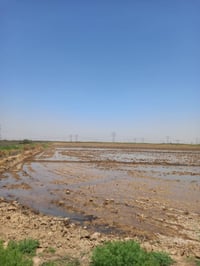 السلام  عليكم  ارض للبيع ٢٠ دومنم  عقد  ٣٥  مجدد لحد ٢٠٢٨ موقع الارض  ...