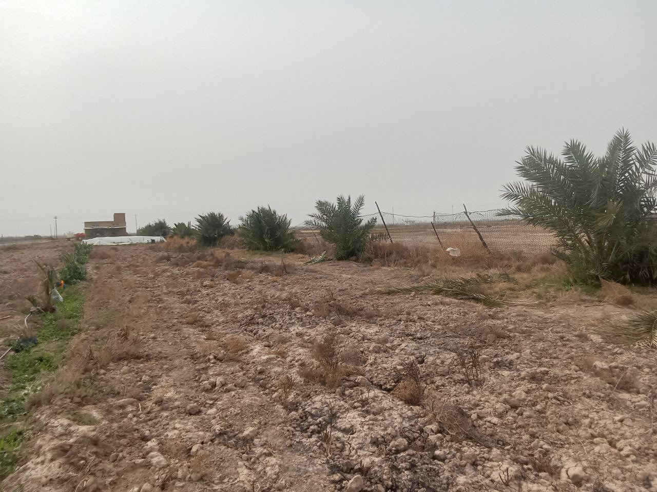 السلام عليكم ارض للبيع المساحه (6) دونم + بيت بناء حديث + ماء وكهرباء + نخل حمال العنوان كاع ال زيرج قرب 
السيطره للتواصل عن طريق رقم صاحب الكاع *********** ! وافق الحبيب
