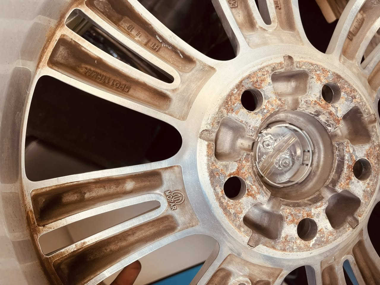 ويل مكسيكي اوباما اصلي  فتح سعره 6 ورقات مكاني بصره ***********
