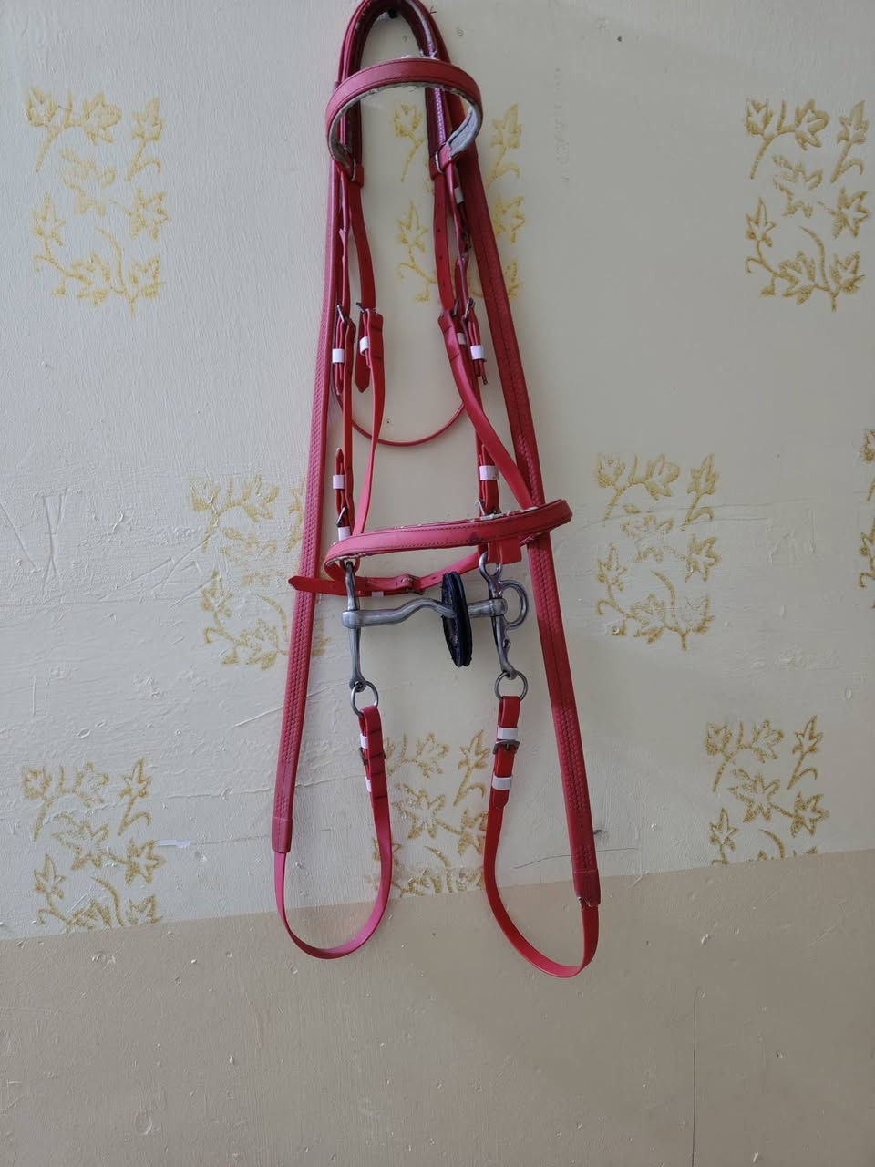 سرج خفيف واجام اصليات السعر 100 ألف يوجد توصيل لجميع المحافظات 5الف
‏‪0774 257 2497‬‏
