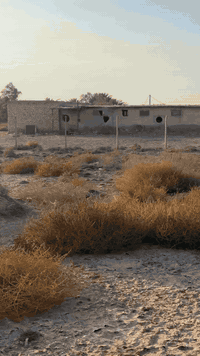 البو جراد • ٢دونم • حقل دواجن