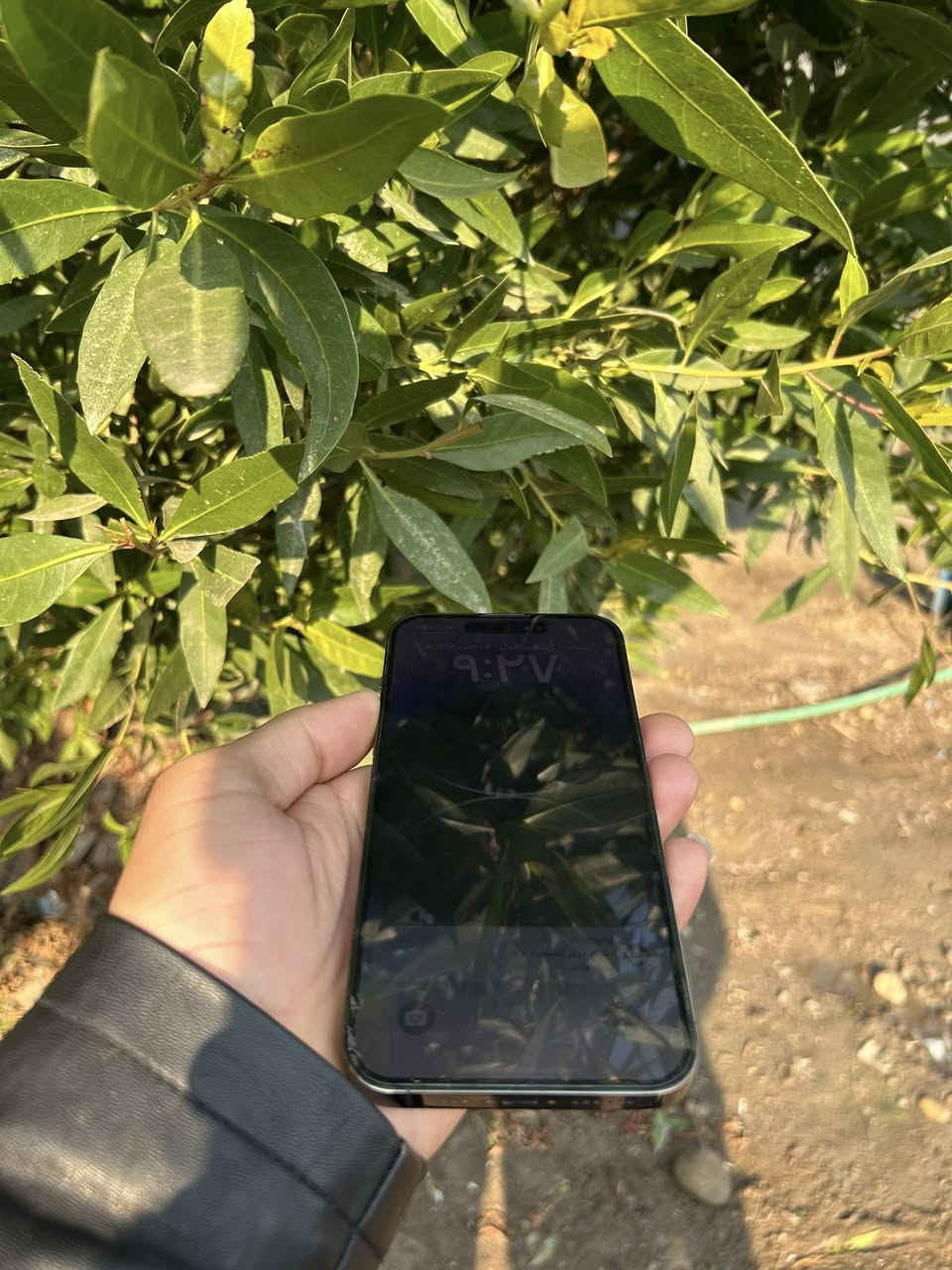 جهاز ايفون 14 برو ماكس للبيع *********** مكلف بلنشر
