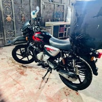 بوكسر جبلي • جديد • كفاله عامه