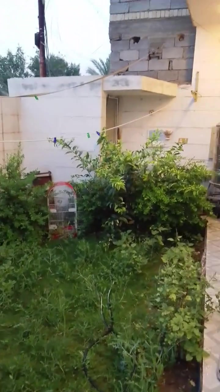 بيت 200م واجه عشره ونزال عشرين اربعه غرف نوم واستقبال وصاله بناء حديث الموقع هور رجب خلف مجمع النخيل الاول مجاور مولده رائد 
***********واتساب
***********
السعر 150مليون
