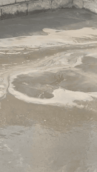 البصرة • خدمات