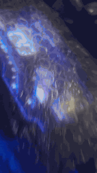 السلام عليكم
دراجه تايكر موديل 24 مكفوله كفاله عامه للبيع فقط دراجه حلوه  دشبول شغال دراجه على كل عيب مكاني  حمرين ***********
