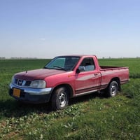 نيسان بيكم • 2008 • بدون صبغ