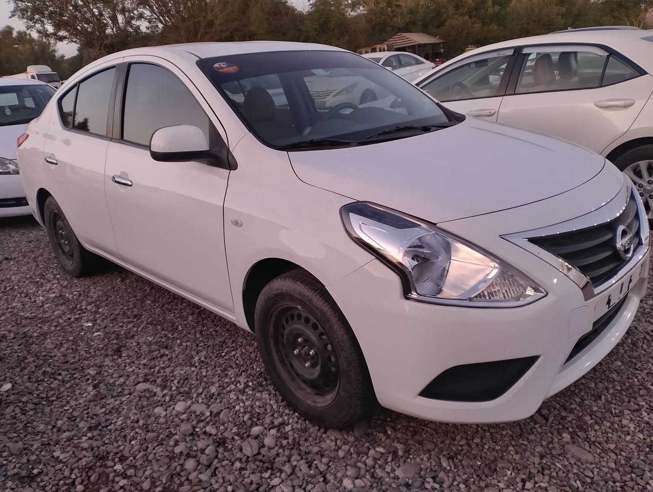 صنی هندی 2024 ماشیه 30 الف بیە قطعتین صبغ مال شرکە صبغ بدون دواخل  سعر100ورقە مکانی کلار***********
