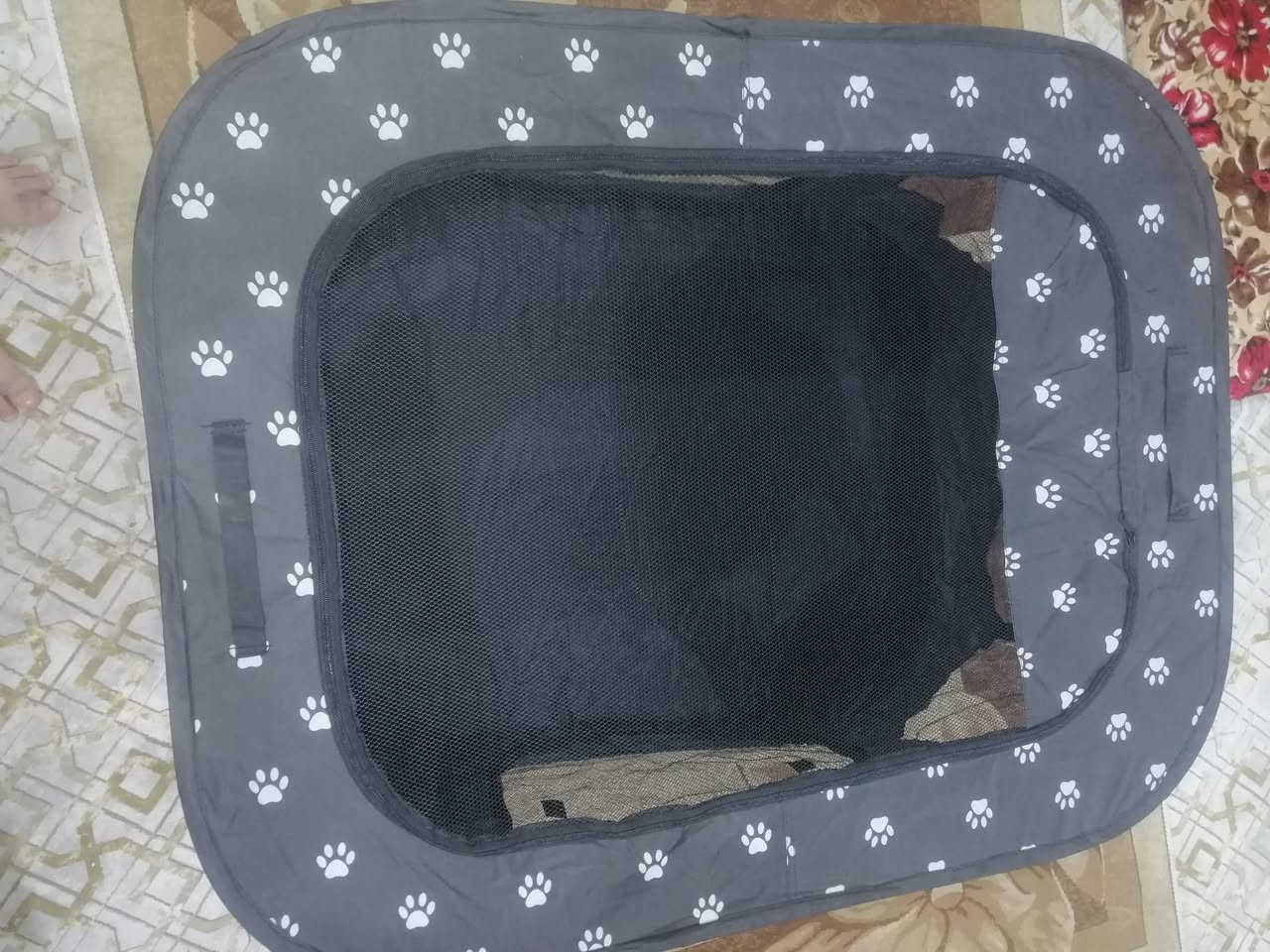 بيت بزونه 18 مع التوصيل
واتساب ***********
