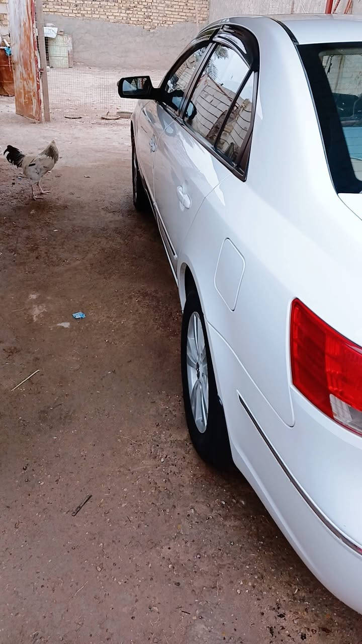 السلام عليكم سوناتا 2011 رقم بغداد فول مواصفات محرك الفين دوش ما مفتوح مكفوله 132وبيه مجال السياره نظيفه تجي وشوف تخم تايرات قبل اسبوع شادهن بسمي السياره *********** مكان السياره النجف
