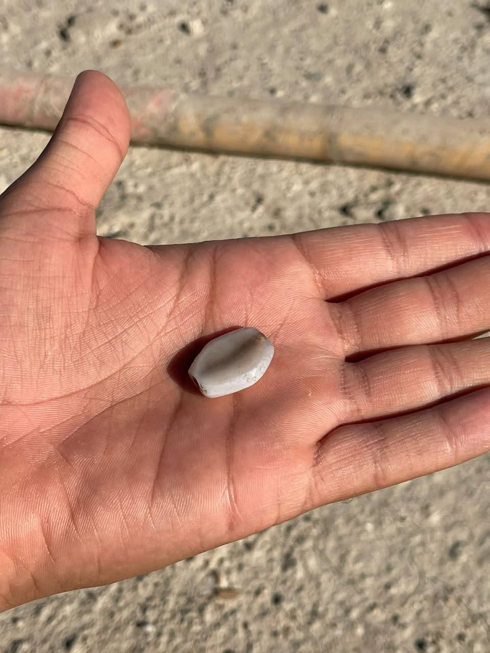 خواتم واحجار للبيع كلمن وسعره


**إذا كنت صاحب هذا الإعلان وتريد حذفه لأي سبب، رجاءا أرسل رسالة إلى الدعم الفني**