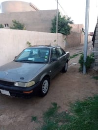 كورلة • ١٩٩١ • بغداد