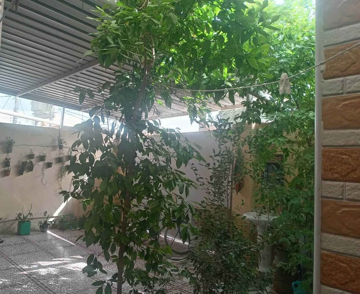 بسم الله الرحمن الرحيم 
يعلن مكتب الفرسان للعقارات عن توفير دار طابو صرف للبيع 
او المراوس مع دار حديث انسب بالسعر 
دار للبيع طابو صرف ٢٠٠م السده حي النصر الثاني يبعد عن الشارع العام والجامع والمدارس ١٠٠ م 
يتكون من طابقين الاول استقبال وغرفتين ومطبخ وصالة وصحيات داخلية وخارجية عدد٣ وكراج سيارة وحديقة والطابق الثاني غرفة وصاله ومخزن 
السعر  90 مليون قابل للتفاوض
لطلب والاستفسار زيادة مكتب الفرسان او الاتصال 
***********/مرتضى
