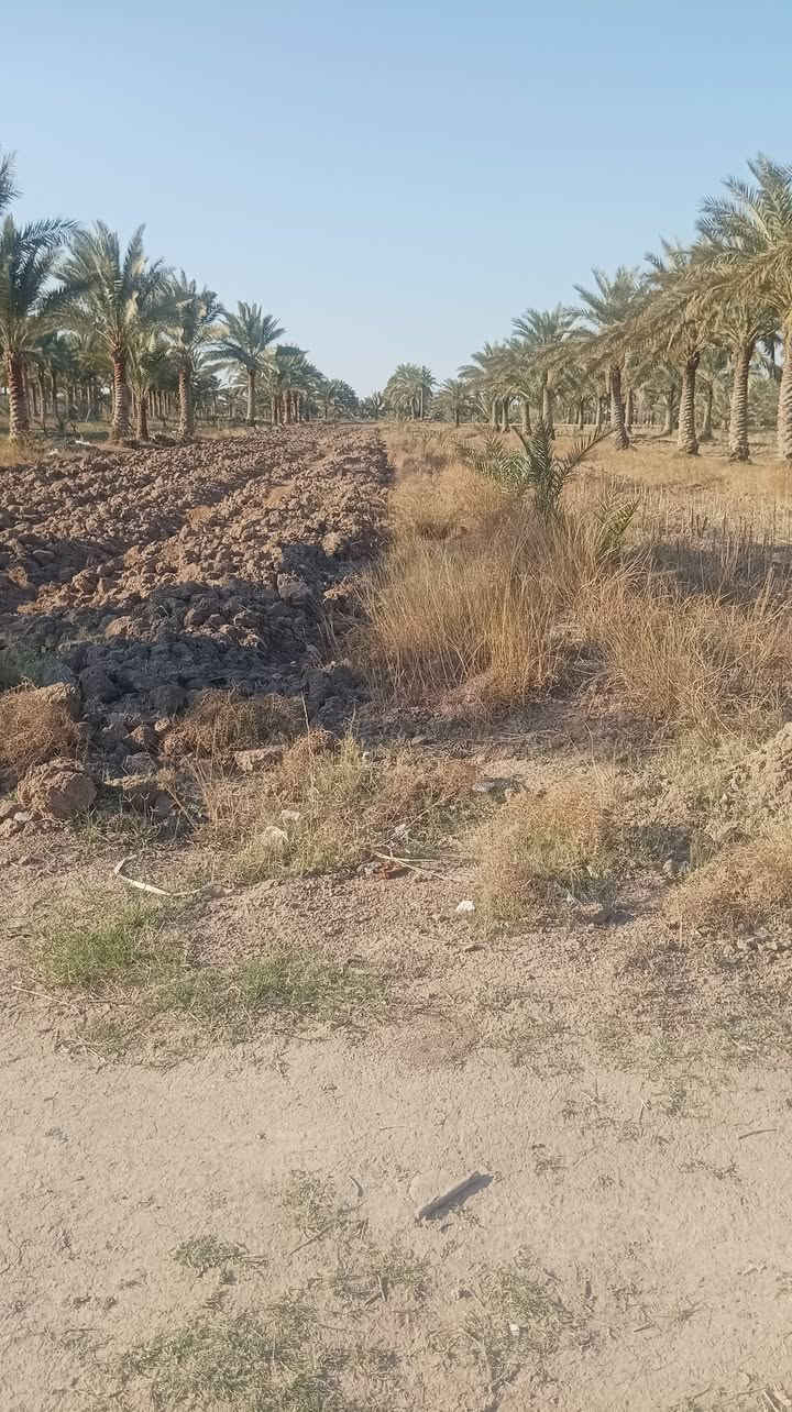 يا الله سلام عليكم للبيع ارض طابو زراعي سند 25 تحميل أسهم وبيسمي مساحه 3دونم وربع +هيكل طابوق وبيت ابلوك  كافة الخدمات موجوده السعر 275 مع المجال استفسار *********** العنوان بابل ابوغرق خلف المجمع الكوثر السكني
