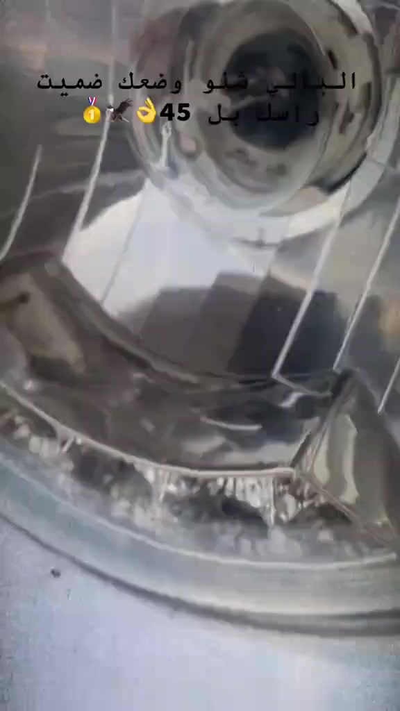 السلام عليكم ستوته زيرو 2026 مكفوله كفاله عامه ستوته حلوه وكيل لاخوين 23 طلعه بال 26 كلها شغاله من الطول للطول تواصل *********** اتصال 
***********واتساب
