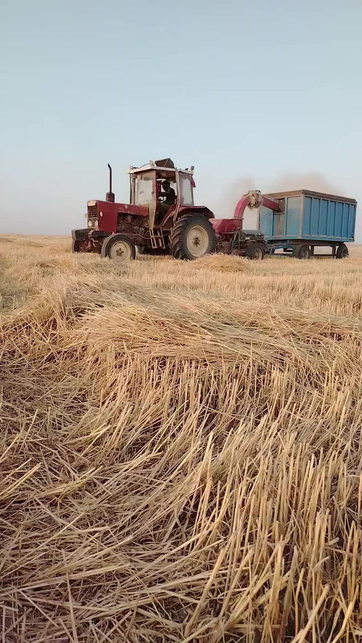 مكينه بلروس وجاروشه للبيع كوم واحد ***********
