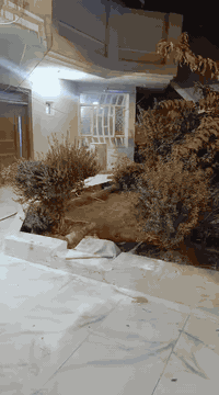 للايجار دار ٣٠٠ متر ملحق السواق طابقين ثلاث غرف نوم وصالتين واستقبال ومطبخ وكراج وحديقه السعر مليون دينار شهرياً للاتصال 
*********** 
***********
مجتبى معله او مراجعه مكتب ضي الحسن للعقار النجف الاشرف حي الزهراء شارع الكيات مقابل جامع الزهراء
