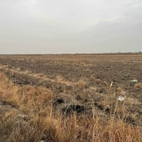 ٣ دوانم • طابو زراعي • الشهابي الثالثه