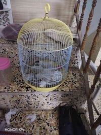 سعرون • ديكور • منزلي