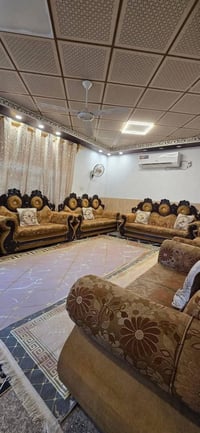 تخم • نظيف • ١٤ نفر