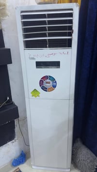 سبلت كنتوري • طنين • الزعفرانيه