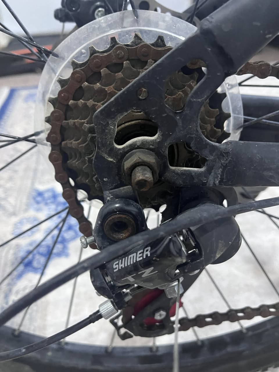 دراجة هوائية لـلـبـيـع البايسكل رياضي من شركة(Mountain bike) اسم البايسكل FENGS البايسكل مخزن عندي صار 3 اشهر ولا مرة احد صاعد بيه مشاكل البايسكل فقط الزنجيل قديم ويرادله تبديل واستمتع بيه 
السعر 100 ألف وبيه مجال للشراي 
التواصل
***********
واتس اب
او راسلني على الخاص
