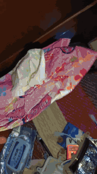 مدالية • مرايات بوليس • قطع يابانية