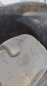 السلام عليكم
دراجه بتره فحل ما مفتوح بيه برغي دراجه طالعه من الحاويه قبل 3 اشهر دراجه نضيفه ما مبدل بيه اي شي فقط السلف تجاري رايده ب،650 وبيه مجال قليل  مكاني ناصريه الشموخ للتواصل 
***********
