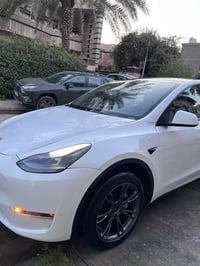 تسلا Y تك ماطور  رقم كاتي تترقم اربيل   اون لاين وجاهزه من كلشي   صور ...