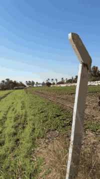 السلام عليكم دونمين موقع كلش حلو على شارعين مثل مموضح بل فديو كل خدمات متوفره وتبليط يبعد ١٠٠ متر مفروش سبيس لاستفسار اتصل 
*********** @إشارة
