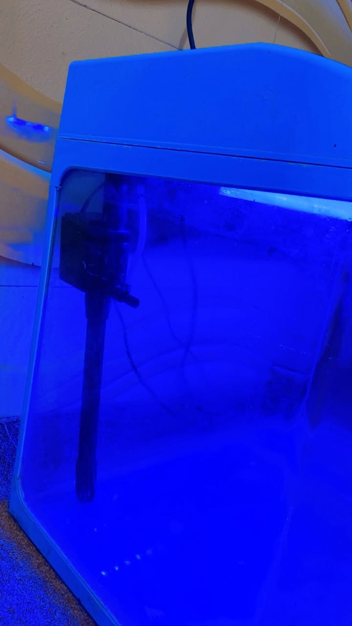 للبيع حوض سمك جبير هوه وملحقاته النشره والماطور السعر ٢٥


**إذا كنت صاحب هذا الإعلان وتريد حذفه لأي سبب، رجاءا أرسل رسالة إلى الدعم الفني**