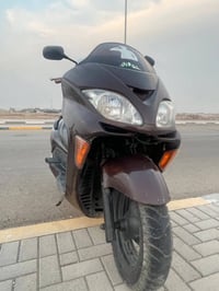 فورزة • ٢٠٠٨ • زنون