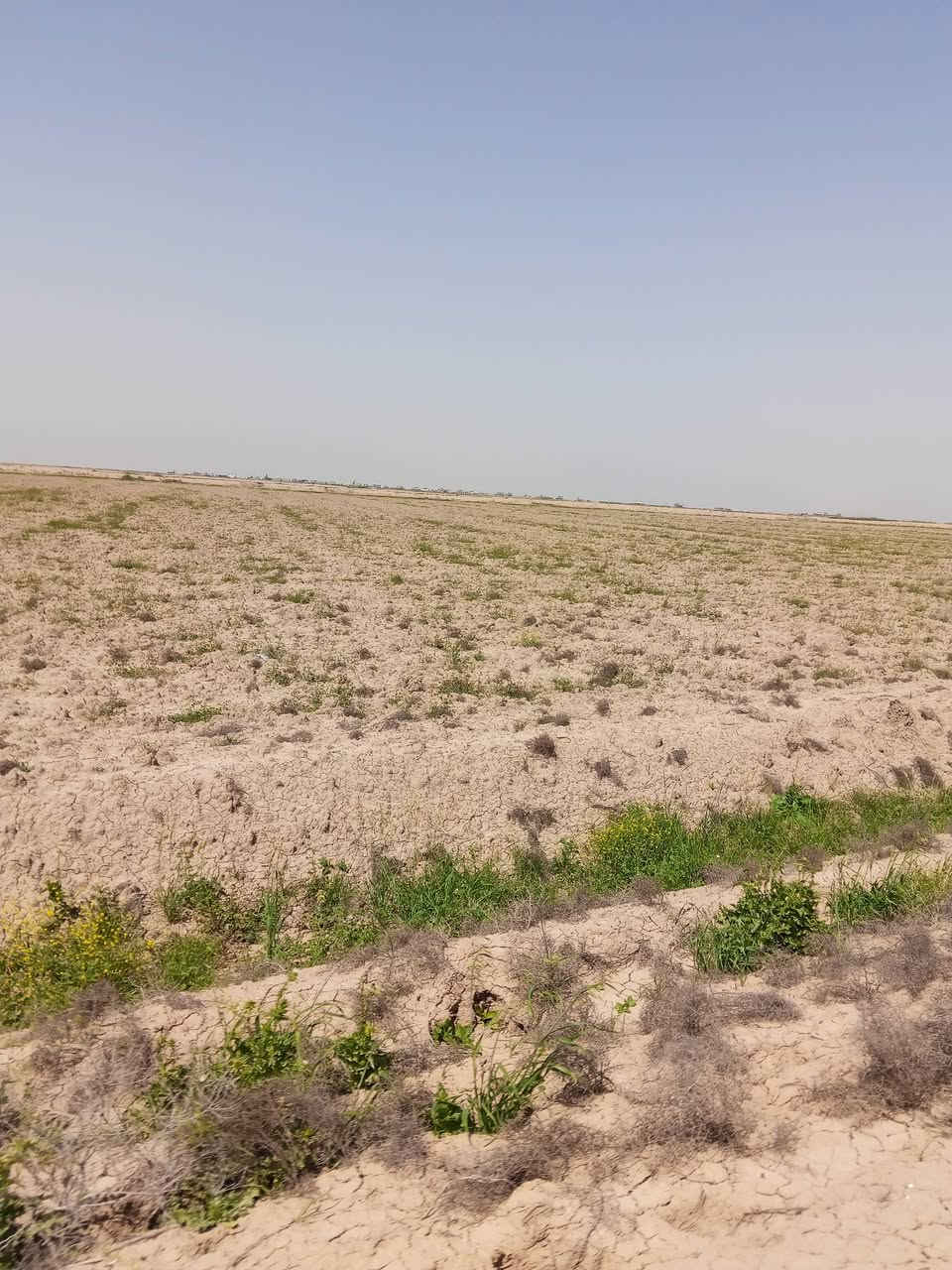 السلام عليكم ورحمة الله 

يوجد أرض طابو  زراعي (200 دونم) حق التصرف

واسط الحفرية قرب تاج الدين 

الاستفسار اكثر مراجعه مكتب عمار احمد 

العنوان واسط العزيزيه شارع الخليج مجاور علي الماس 

*********** /***********
