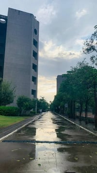 خدمات أكاديمية • ترجمة قانونية • فحص الانتحال