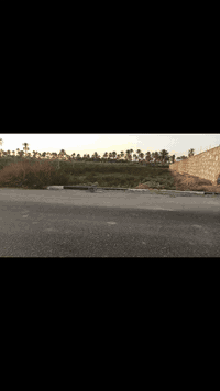 2000متر للبيع طابو زراعي سند 25 تحويل أسهم واجهيه 20متر كافة الخدمات ماء وكهرباء تبليط رصيف صالحه للزراعه او للسكن العنوان كربلاء طويريج منطقة السادة السيد جاسم خلف مشروع الماء السعر 115 مع المجال البسيط استفسار الاتصال على رقم 📱 الهاتف ***********
