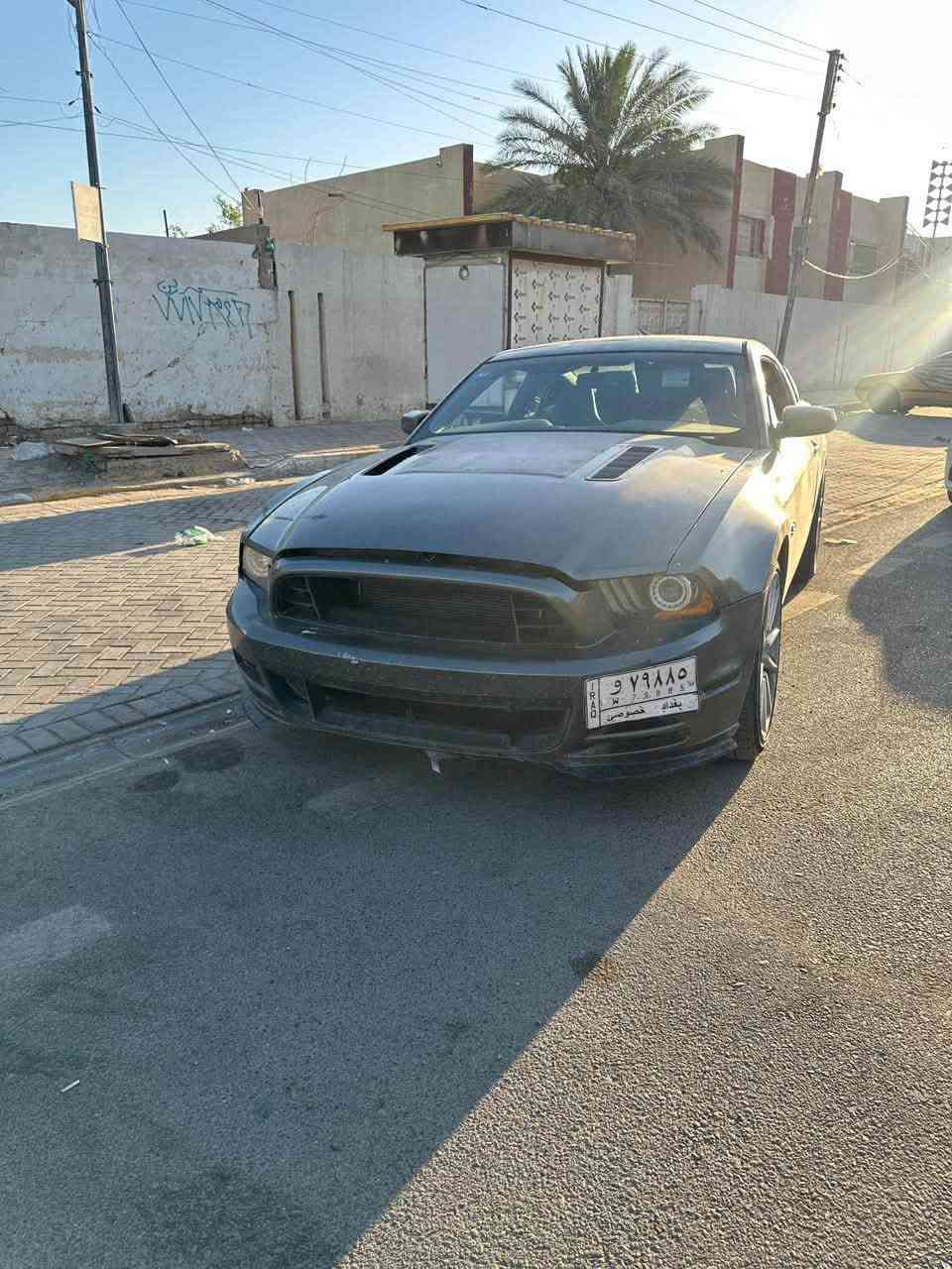 السلام عليكم
موستنك gt 🚀
مكينه 5.0 جديدة اني شادها 
كير عادي 🕹️
السيارة بريميوم فول
دشبول ٧ الوان 
كشنات جلد 
كشنات ريكارو 
داخل نضيف 
ويالة سوبر سنيك 
السيارة ماشية ٤٥ mile 
كهربائياتها كلهة مابيها اي جطل 
تم تنزيل السعر لان متوازي 
ب٩٢ وبيهة مجال بسيط كلش 
نقص السيارة كمبريسر تبريد وحساسات اوكسجين 
مكاني بغداد الشعب 
***********
