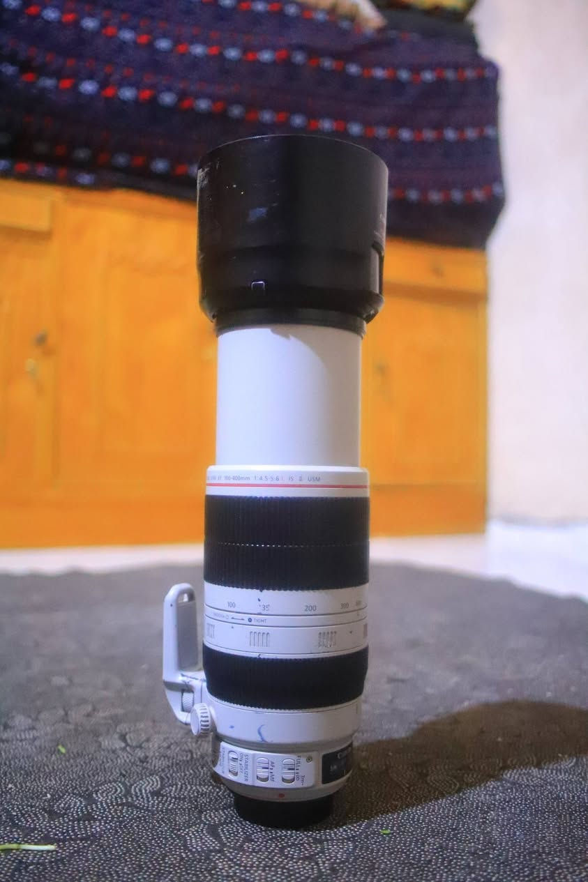 عدسه كانون 400_100 دبل ستبلايزر اصدار ثاني


**إذا كنت صاحب هذا الإعلان وتريد حذفه لأي سبب، رجاءا أرسل رسالة إلى الدعم الفني**